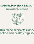 Organic Dandelion Leaf & Root Herbal Tea (Pack of 1), Supports Kidney Function and Healthy Digestion, 16 Tea Bags Total
