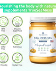 Wildcrafted Irish Sea Moss- Rich in Minerals, Proteins & Vitamins – Antioxidant Health Sea Moss