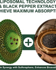 900MG Liposomal Sulforaphane Supplement