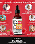 Vitamin B12 & B Complex Drops for Energy & Fatigue (2 Pack)