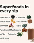 Ka’Chava All-In-One Nutrition Shake Blend, Greens Plant-Based Superfood, Digestive Enzymes & Probiotics, Vegan Dairy Gluten Free