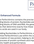 Perfectamino Protein for Pre/Post Workout & Muscle Recovery