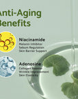 Tea Tree | Clear & Balanced Skin Acne-Prone Skin