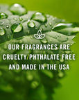 Tropical Fragrance Oil Set – 6 Premium Scents for Candle, Bath, and DIY Rituals