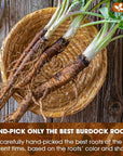 Burdock Root Tea Bags