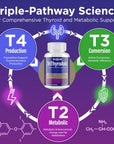 Thyroid Support Supplement for Women & Men – Professional T4, T3, T2 Triple-Pathway – Metabolism & Energy – with L-Tyrosine, Selenium, Ashwagandha & Guggul Extract – Standardized Herbs – 60 Capsules