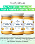Wildcrafted Irish Sea Moss- Rich in Minerals, Proteins & Vitamins – Antioxidant Health Sea Moss