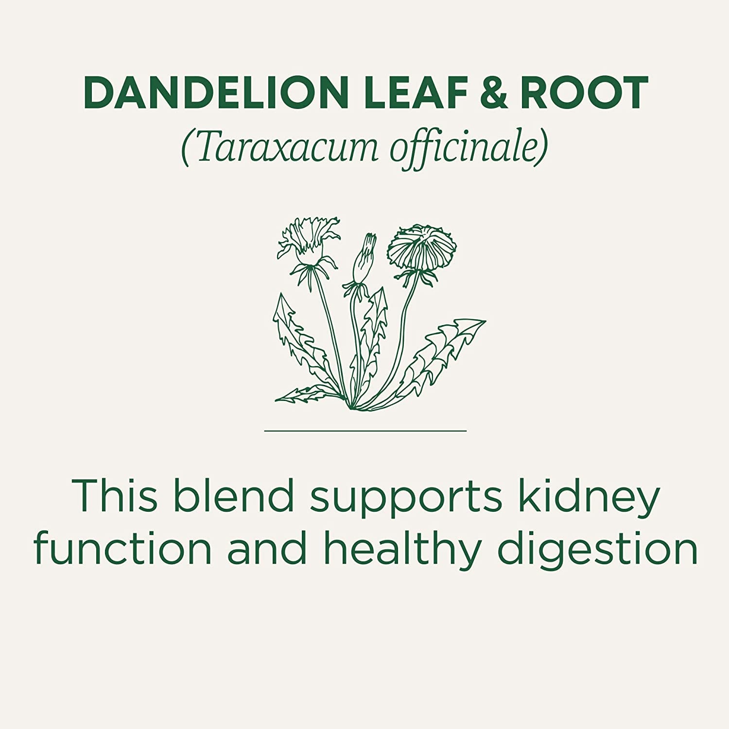 Organic Dandelion Leaf & Root Herbal Tea (Pack of 1), Supports Kidney Function and Healthy Digestion, 16 Tea Bags Total