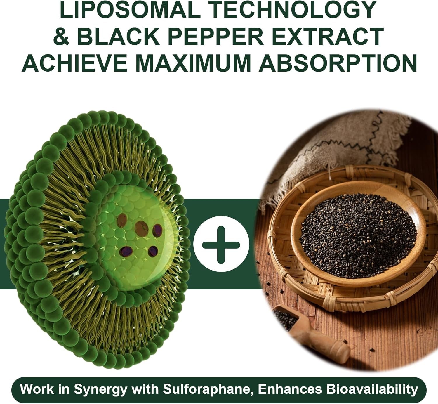 900MG Liposomal Sulforaphane Supplement