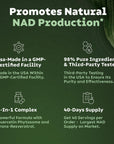 Liposomal Nicotinamide Riboside High Purity NAD Supplement for Anti-Aging, Energy, Focus - 80 Capsules