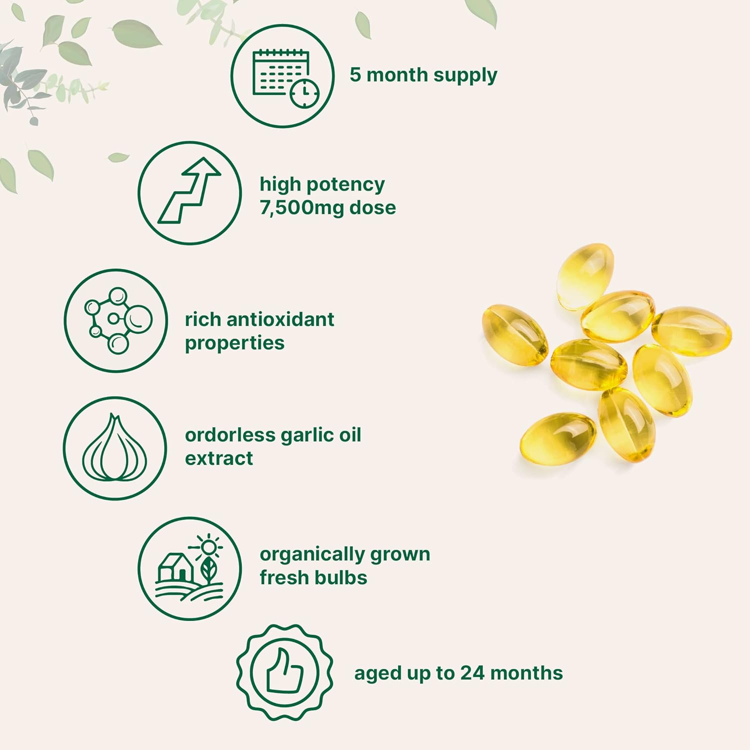 Odorless Garlic 300 Softgels, Immune Support, and Heart Health