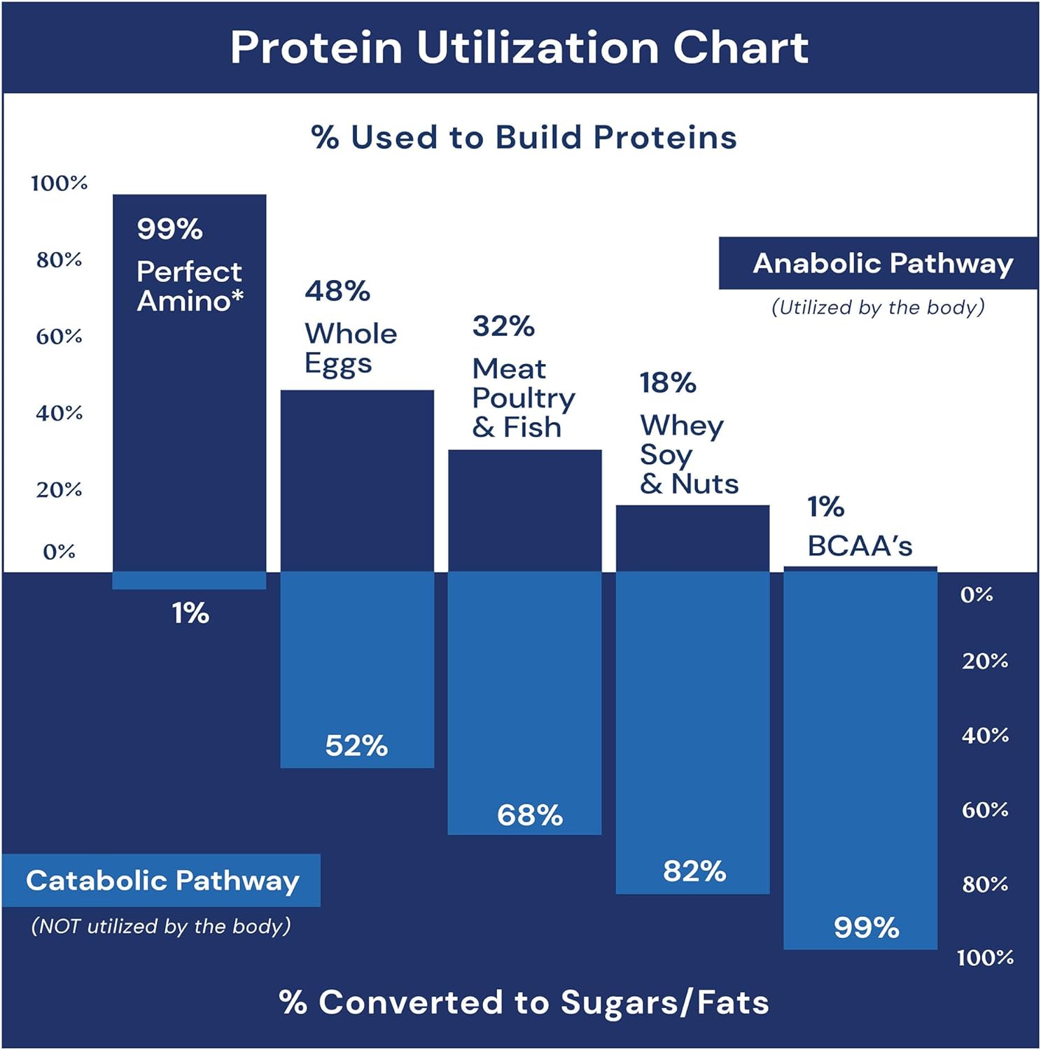 Perfectamino Protein for Pre/Post Workout &amp; Muscle Recovery 