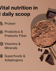 Shakeology Whey Protein Powder (Chocolate) – Whey + Superfood Blend
