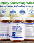 Thyroid Support Supplement with Iodine, B12, Zinc, Selenium & Ashwagandha – Metabolism & Weight Balance (30 Day Supply)