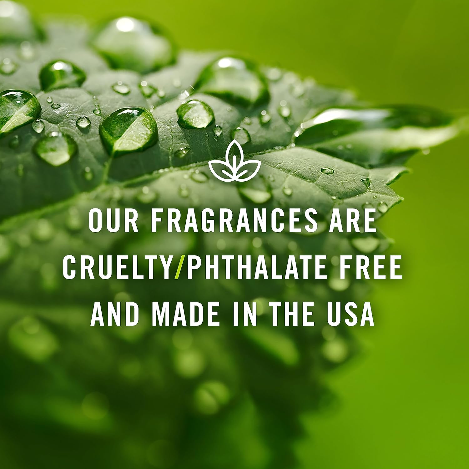 Tropical Fragrance Oil Set – 6 Premium Scents for Candle, Bath, and DIY Rituals