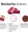 Total Beets Soft Chews, Antioxidants, Healthy Energy Supplement with Elite Ingredients