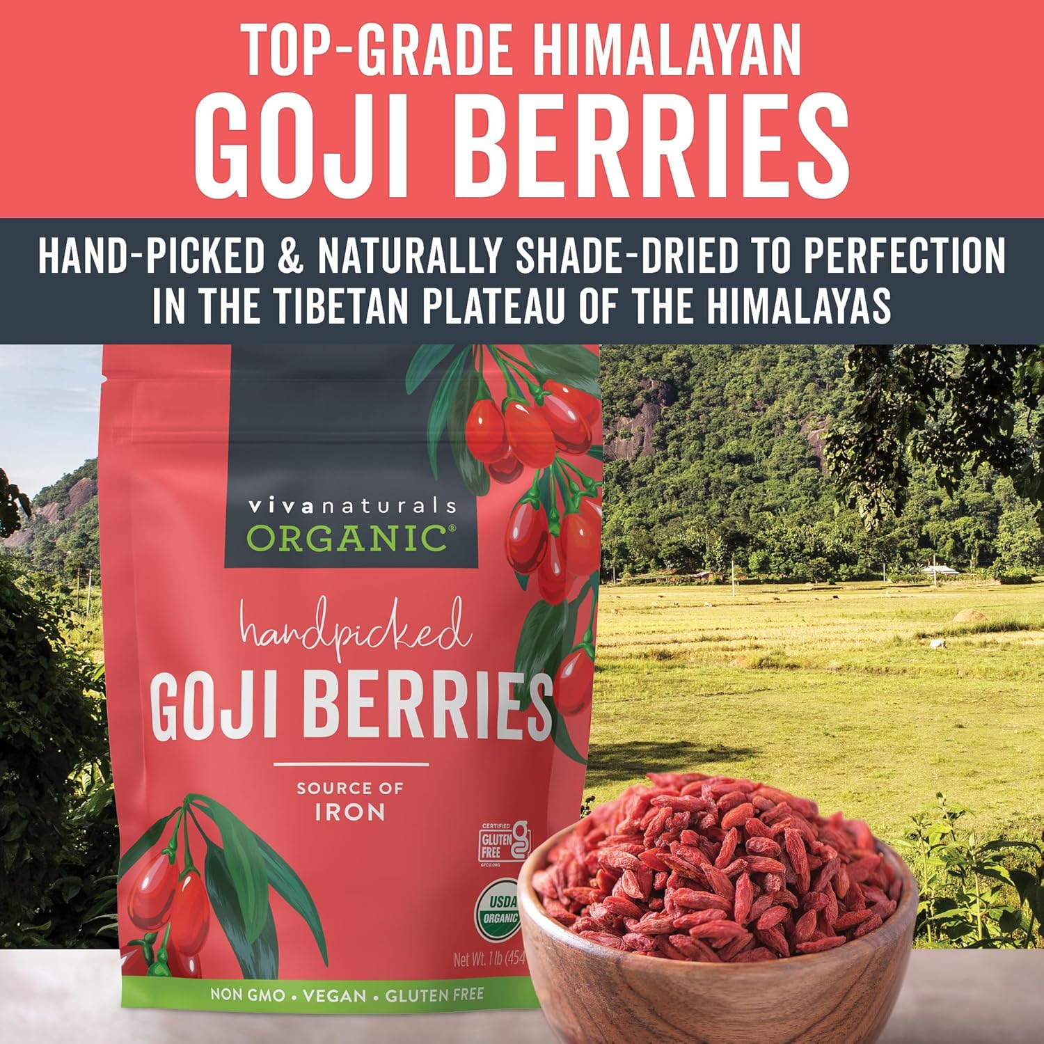 Organic Dried Goji Berries - Tea, Smoothies, Baking and Snacks