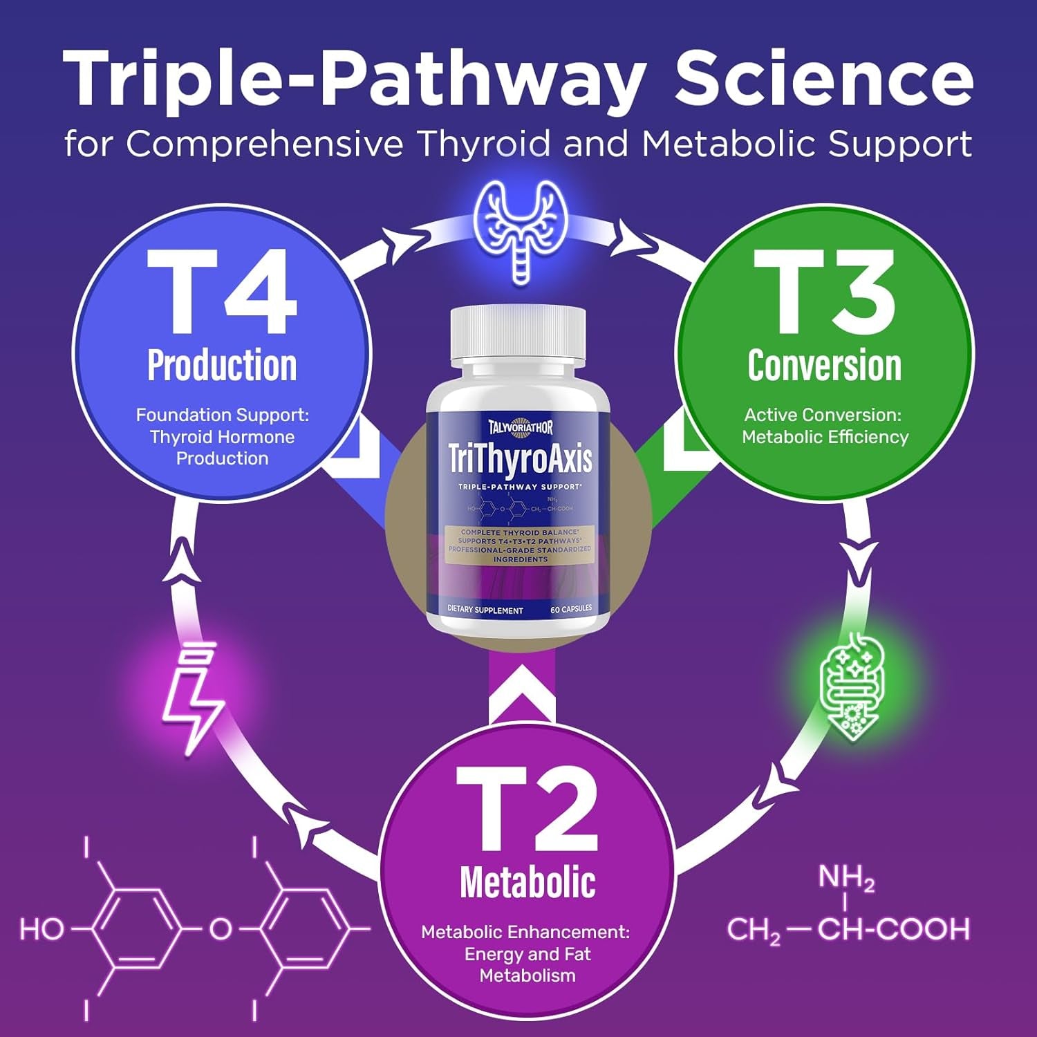 Thyroid Support Supplement for Women & Men – Professional T4, T3, T2 Triple-Pathway – Metabolism & Energy – with L-Tyrosine, Selenium, Ashwagandha & Guggul Extract – Standardized Herbs – 60 Capsules