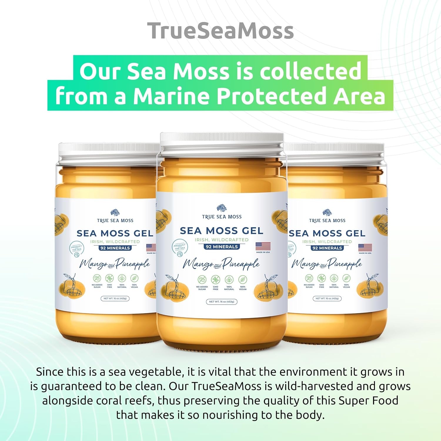 Wildcrafted Irish Sea Moss- Rich in Minerals, Proteins &amp; Vitamins – Antioxidant Health Sea Moss