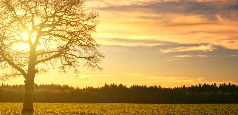 6_da996892-d793-4495-844c-0061f6841851 (1)