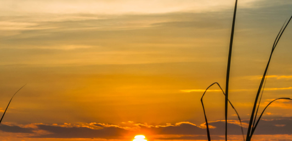 7_57856671-dba9-45a2-941c-77233958d83c